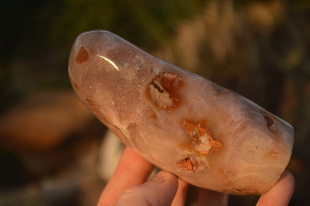 Polished Ocean Flower Agate Standing Free Forms  x 4 From Madagascar - Toprock Gemstones and Minerals 
