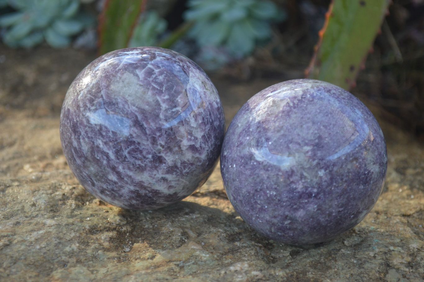 Polished Purple Lepidolite Spheres (One With Rubellite) x 2 From Madagascar - Toprock Gemstones and Minerals 