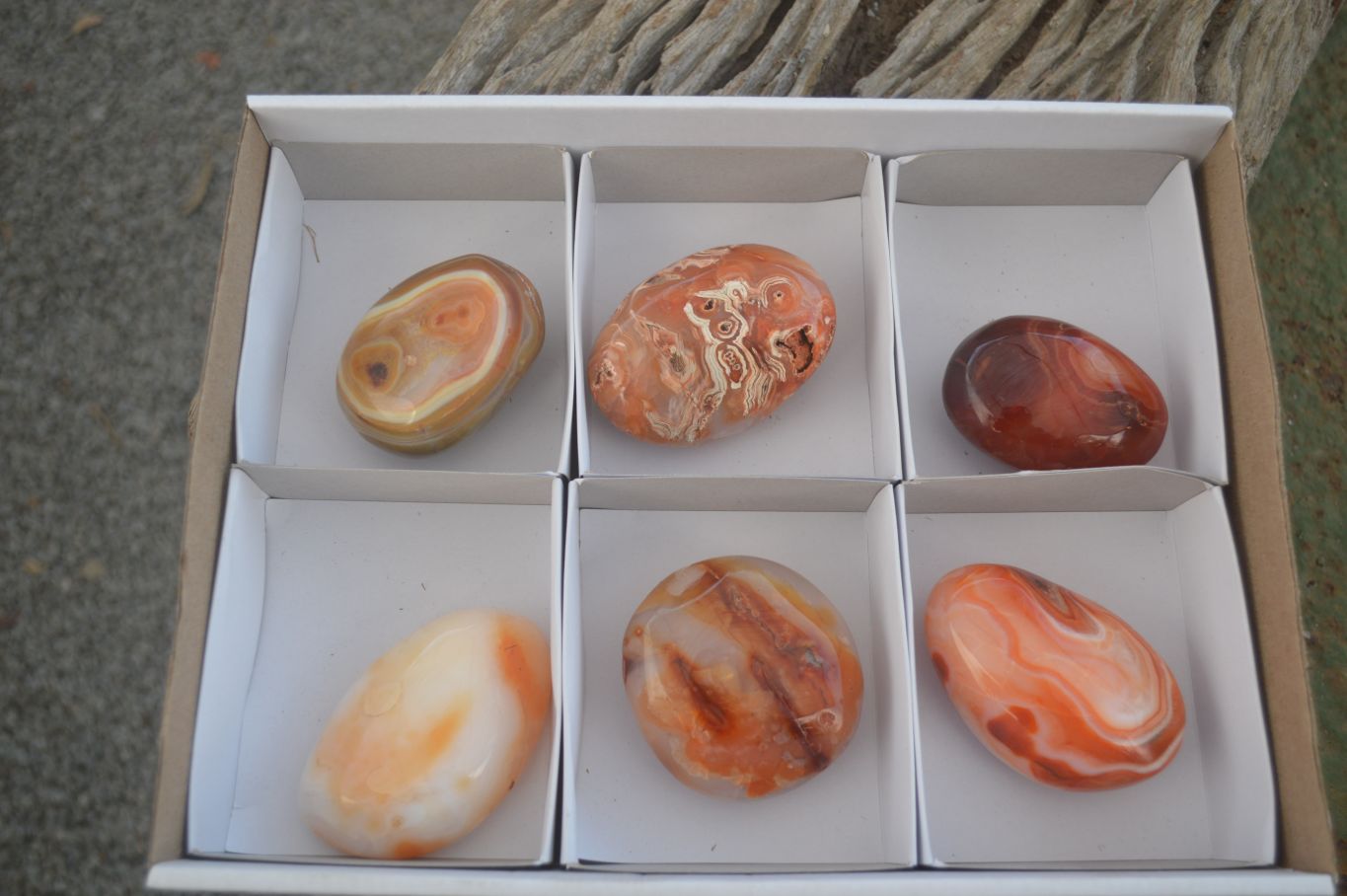 Polished Stunning Carnelian Agate Palm Stones  x 6 From Madagascar - Toprock Gemstones and Minerals 