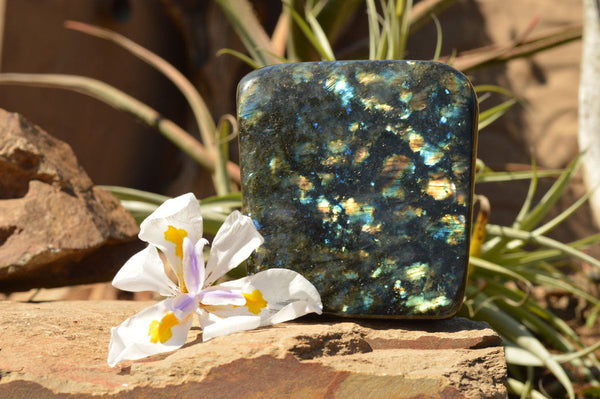 Polished Labradorite Standing Free Form With Spotted Blue & Gold Flash x 1 From Sakoany, Madagascar - TopRock