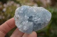 Natural Blue Celestite Crystal Specimens  x 7 From Sakoany, Madagascar - Toprock Gemstones and Minerals 