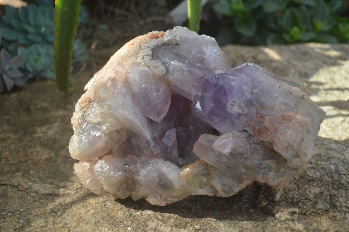 Natural Jacaranda Amethyst Cluster x 1 From Mumbwa, Zambia - TopRock