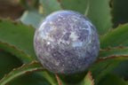 Polished Purple Lepidolite Spheres (One With Rubellite) x 2 From Madagascar - Toprock Gemstones and Minerals 