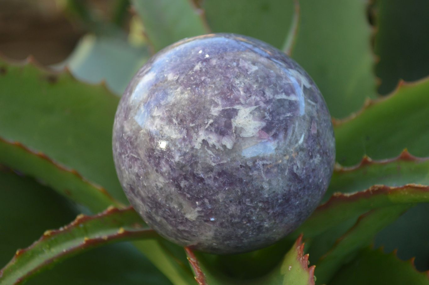 Polished Purple Lepidolite Spheres (One With Rubellite) x 2 From Madagascar - Toprock Gemstones and Minerals 