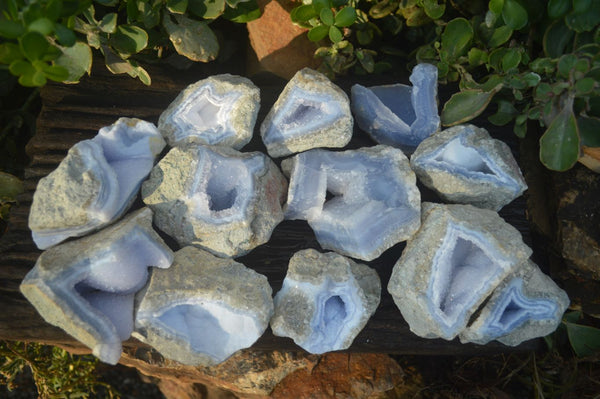 Natural Blue Lace Agate Geode Specimens  x 12 From Malawi