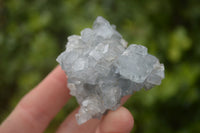 Natural Blue Celestite Crystal Specimens  x 7 From Sakoany, Madagascar - Toprock Gemstones and Minerals 
