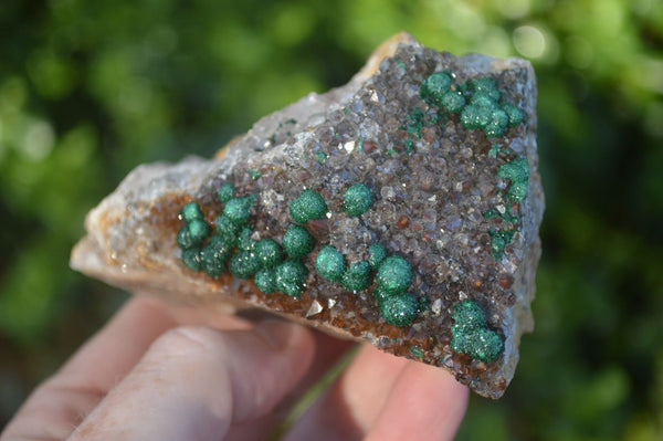 Natural Rare Ball Malachite On Drusi Quartz & Dolomite Matrix  x 6 From Congo - Toprock Gemstones and Minerals 