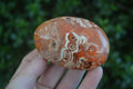 Polished Stunning Carnelian Agate Palm Stones  x 6 From Madagascar - Toprock Gemstones and Minerals 