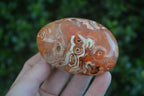 Polished Stunning Carnelian Agate Palm Stones  x 6 From Madagascar - Toprock Gemstones and Minerals 