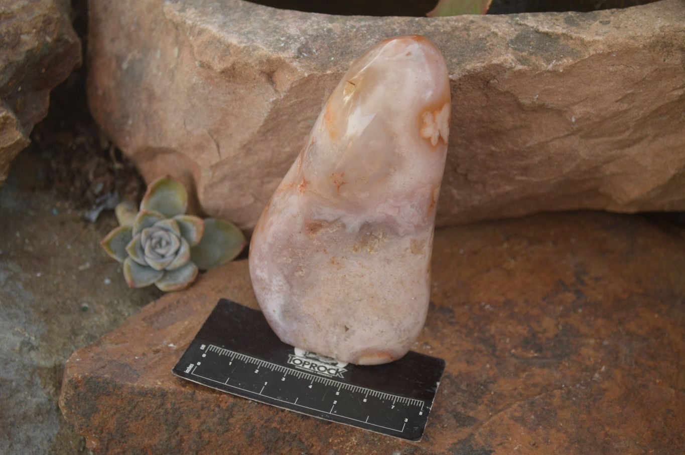 Polished Ocean Flower Agate Standing Free Forms  x 4 From Madagascar - Toprock Gemstones and Minerals 