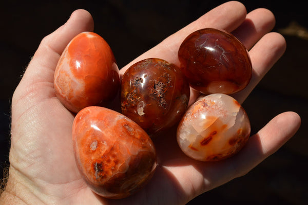 Polished Small Carnelian Agate Eggs  x 12 From Madagascar - TopRock