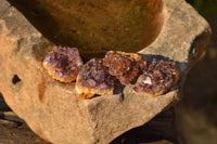 Natural Small Dark "Amethystos" Amethyst Clusters x 66 From Kwaggafontein, South Africa - TopRock