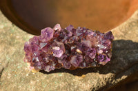 Natural Small Dark "Amethystos" Amethyst Clusters x 35 From Kwaggafontein, South Africa - TopRock