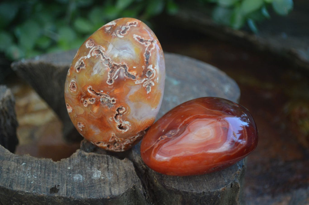 Polished Stunning Carnelian Agate Palm Stones  x 6 From Madagascar - Toprock Gemstones and Minerals 