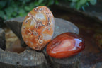 Polished Stunning Carnelian Agate Palm Stones  x 6 From Madagascar - Toprock Gemstones and Minerals 