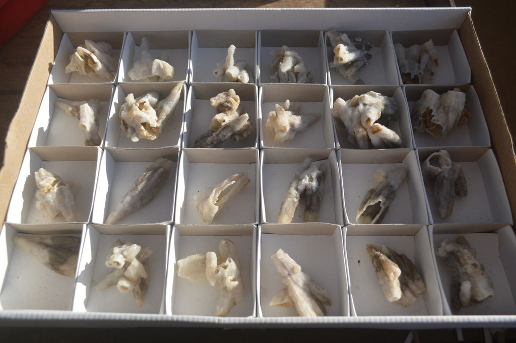 Natural Drusy Coated Quartz x 24 From Alberts Mountain, Lesotho - Toprock Gemstones and Minerals 