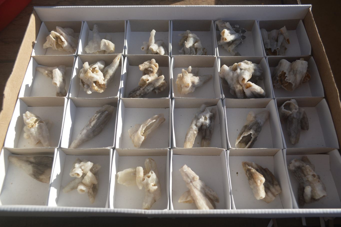 Natural Drusy Coated Quartz x 24 From Alberts Mountain, Lesotho - Toprock Gemstones and Minerals 