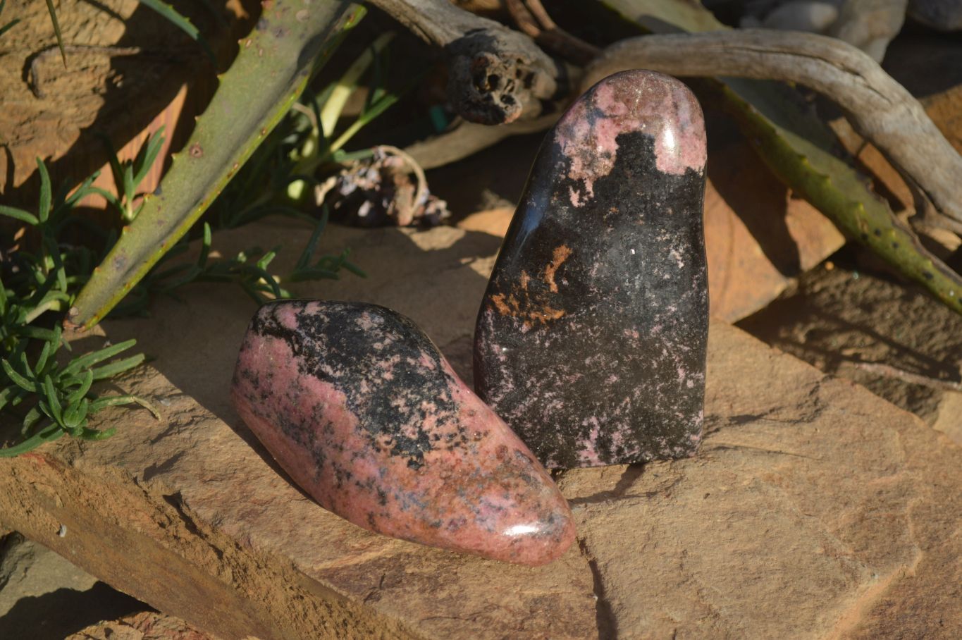 Polished Rhodonite and Chromite Standing Display Free Forms x 2 From Madagascar - Toprock Gemstones and Minerals 