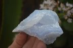 Natural Etched Blue Chalcedony Specimens  x 12 From Nsanje, Malawi - Toprock Gemstones and Minerals 