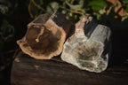 Polished  One Sided Petrified Wood Branch Segments x 2 From Gokwe, Zimbabwe - Toprock Gemstones and Minerals 
