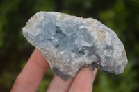 Natural Blue Celestite Crystal Specimens  x 7 From Sakoany, Madagascar - Toprock Gemstones and Minerals 
