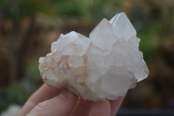 Natural White Spirit Quartz Clusters  x 6 From Boekenhouthoek, South Africa - Toprock Gemstones and Minerals 