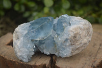 Natural Blue Celestite Crystal Specimens  x 7 From Sakoany, Madagascar - Toprock Gemstones and Minerals 