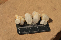 Natural Small Selected White Spirit Quartz Clusters  x 63 From Boekenhouthoek, South Africa - TopRock