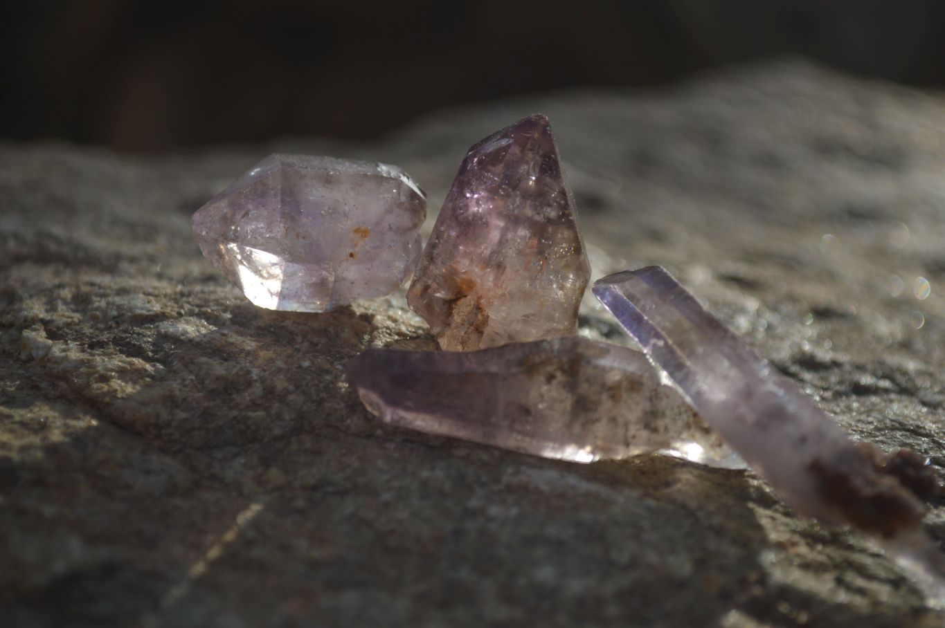 Natural Skeletal & Sceptre Window Amethyst Crystals  x 35 From Chiredzi, Zimbabwe - Toprock Gemstones and Minerals 
