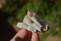 Natural Drusy Coated Quartz x 24 From Alberts Mountain, Lesotho - Toprock Gemstones and Minerals 