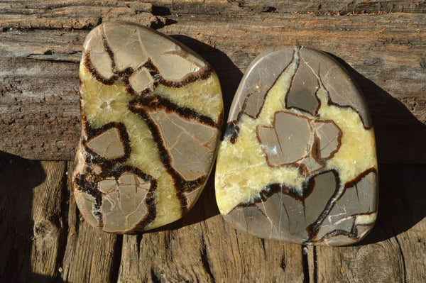 Polished Septerye (Aragonite & Calcite) Slices x 6 From Mahajanga, Madagascar - TopRock