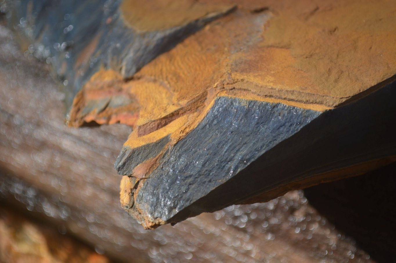 Natural Sliced Tigers Eye Specimen x 1 From Prieska, South Africa - Toprock Gemstones and Minerals 