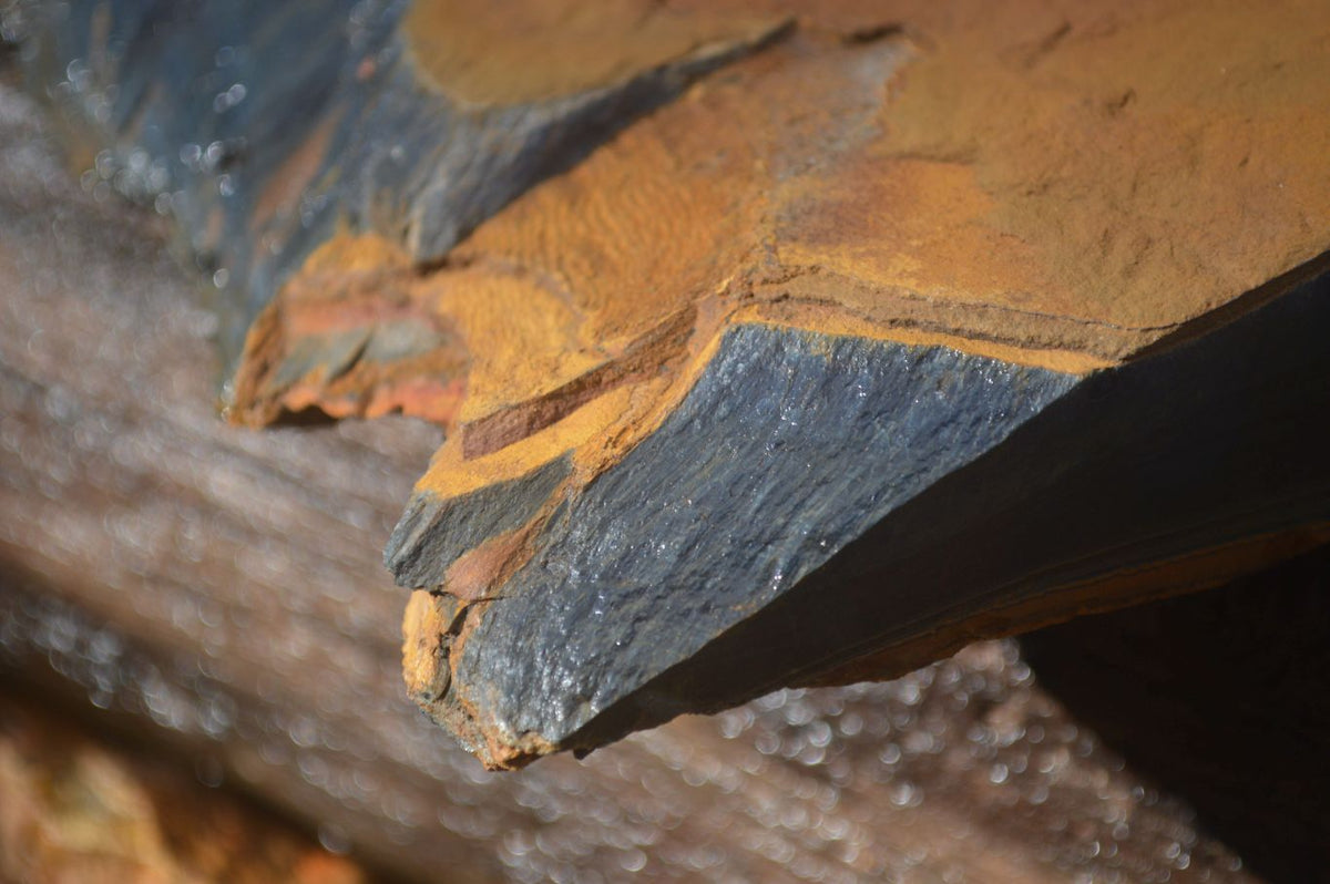 Natural Sliced Tigers Eye Specimen x 1 From Prieska, South Africa - Toprock Gemstones and Minerals 