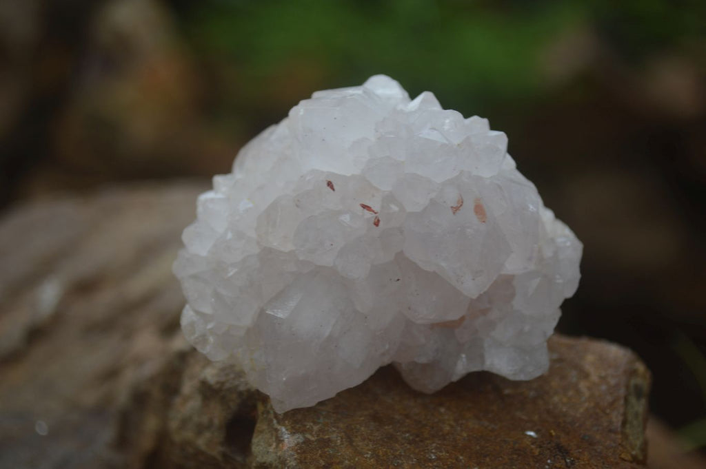 Natural White Spirit Quartz Clusters  x 6 From Boekenhouthoek, South Africa - Toprock Gemstones and Minerals 