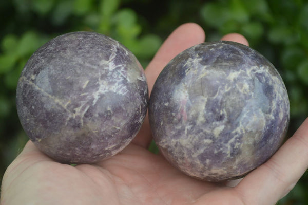Polished Purple Lepidolite Spheres  x 6 From Ambatondrazaka, Madagascar - Toprock Gemstones and Minerals 