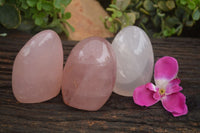 Polished Gemmy Pink Rose Quartz Standing Free Forms  x 3 From Ambatondrazaka, Madagascar - TopRock