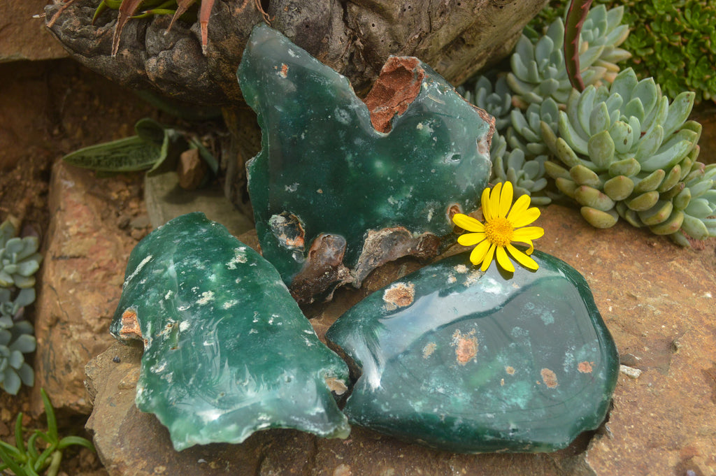 Polished Green Mtorolite / Emerald Chrome Chrysoprase Slices  x 3 From Zimbabwe - TopRock
