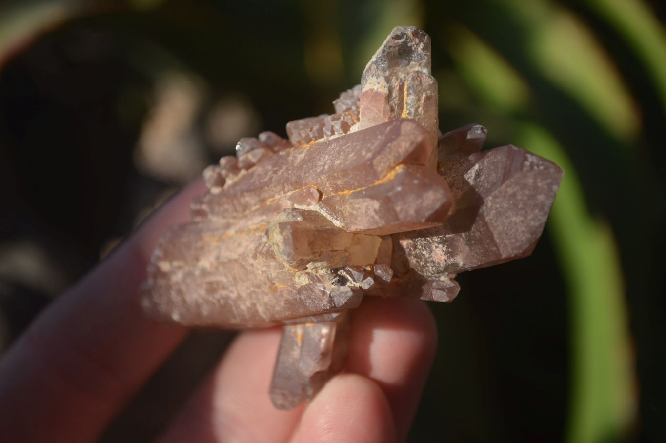 Natural Red Hematoid Quartz Specimens x 12 From Karoi, Zimbabwe - Toprock Gemstones and Minerals 
