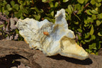 Natural Etched Blue Chalcedony Agate Specimens  x 5 From Nsanje, Malawi - TopRock