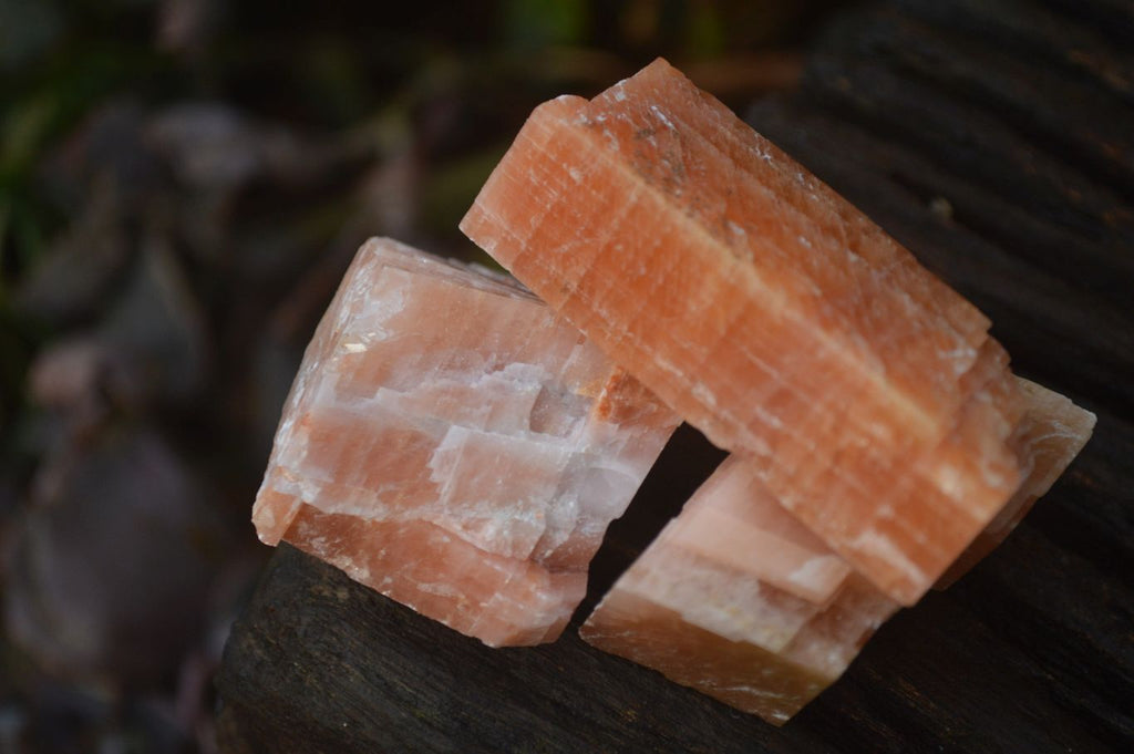 Natural New Sunset Orange Calcite Specimens  x 35 From Spitzkop, Namibia - Toprock Gemstones and Minerals 