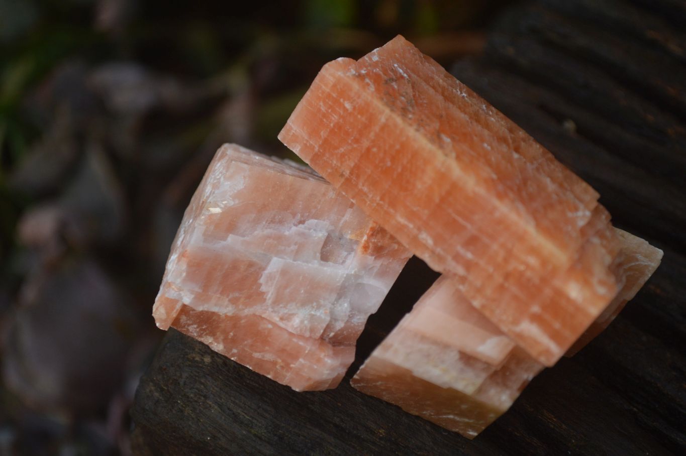 Natural New Sunset Orange Calcite Specimens  x 35 From Spitzkop, Namibia - Toprock Gemstones and Minerals 