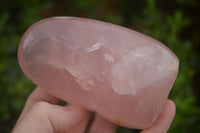 Polished Gemmy Pink Rose Quartz Standing Free Forms  x 3 From Ambatondrazaka, Madagascar - TopRock
