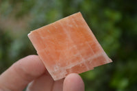 Natural New Sunset Orange Calcite Specimens  x 35 From Spitzkop, Namibia - Toprock Gemstones and Minerals 