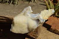 Natural Etched Blue Chalcedony Agate Specimens  x 5 From Nsanje, Malawi - TopRock