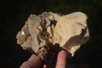 Natural Mixed Aegirine Specimens  x 6 From Zomba, Malawi