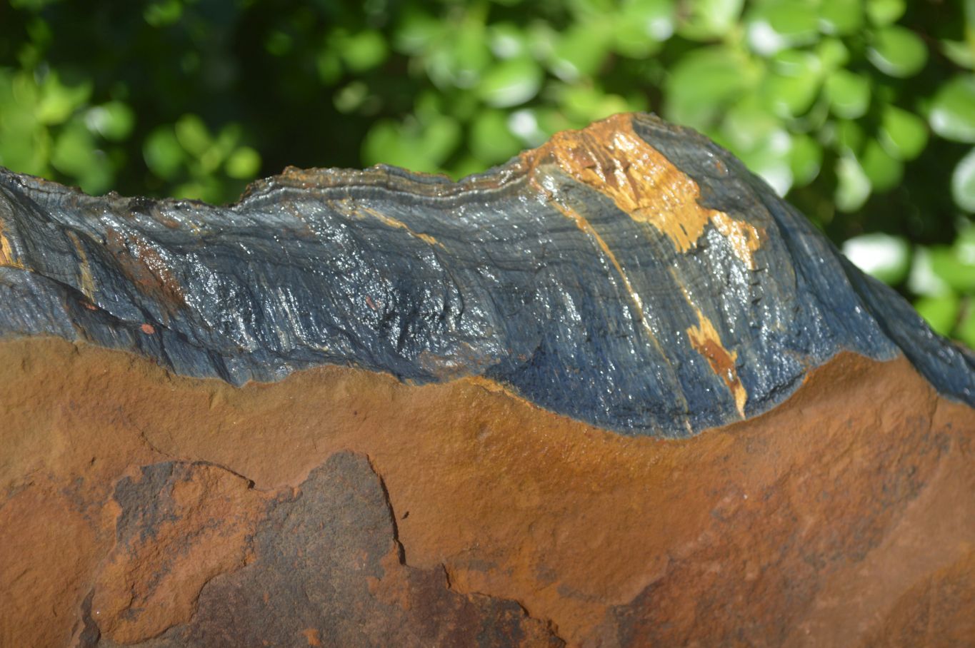 Natural Sliced Tigers Eye Specimen x 1 From Prieska, South Africa - Toprock Gemstones and Minerals 