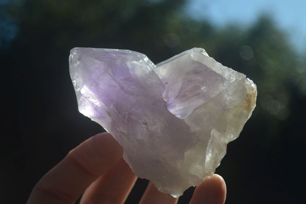 Natural Large Single Jacaranda Amethyst Crystals  x 12 From Mumbwa, Zambia - Toprock Gemstones and Minerals 