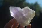 Natural Large Single Jacaranda Amethyst Crystals  x 12 From Mumbwa, Zambia - Toprock Gemstones and Minerals 