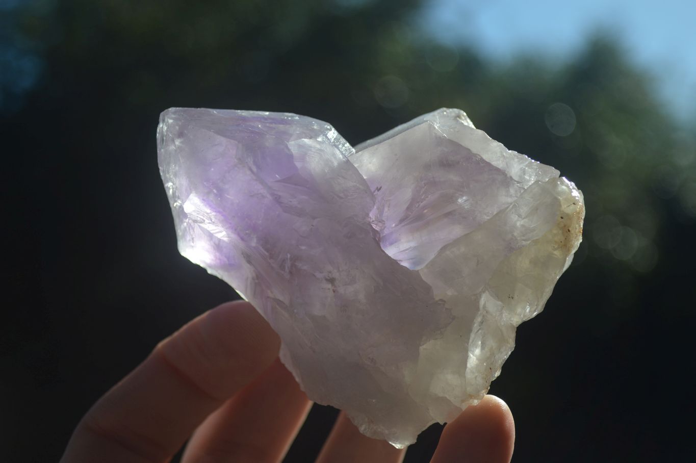 Natural Large Single Jacaranda Amethyst Crystals  x 12 From Mumbwa, Zambia - Toprock Gemstones and Minerals 