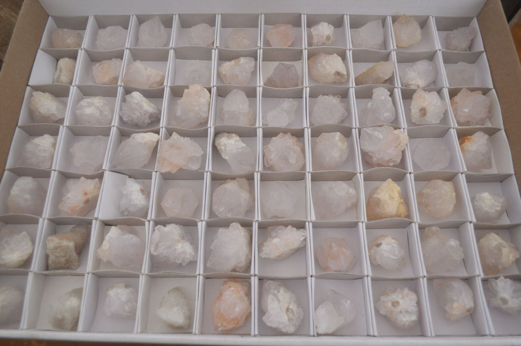 Natural Single White Cactus Quartz Crystals x 70 From Boekenhouthoek, South Africa - Toprock Gemstones and Minerals 